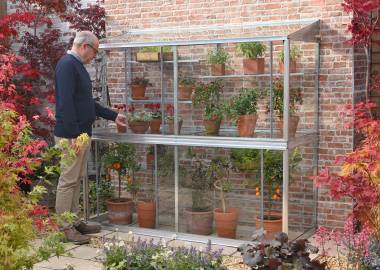 Hampton-D 6’ 5” lean to Mini greenhouse