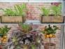 Plants on shelves in Exbury Growhouse