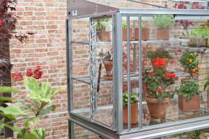 Automatic louvre vent in Exbury Growhouse