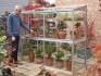 Exbury 6' 5" aluminium Growhouse