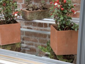 toughened glass staging for mini greenhouse