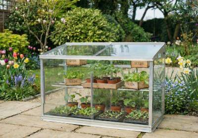 FB3 4ft aluminium growhouse with spring planting