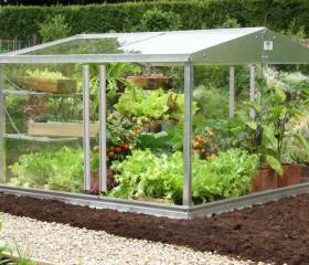 4ft x 4ft Cold Frame