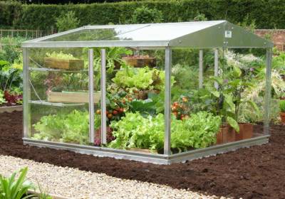 4ft x 4ft Cold Frame