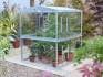 Access aluminium tomato greenhouse 5ft high