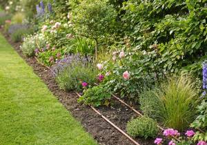 Professional dripline for gardens