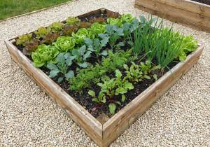 Timber raised base in garden