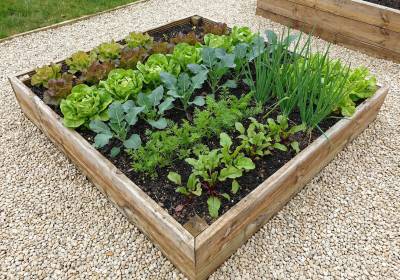 Timber raised base in garden