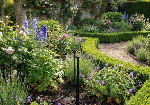 Border mist watering kit