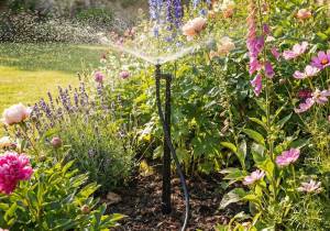 Border mist watering kit