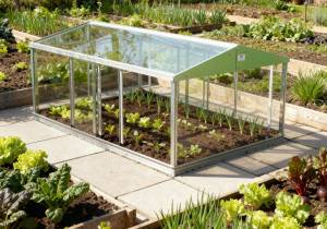 6ft x 4ft cold frame