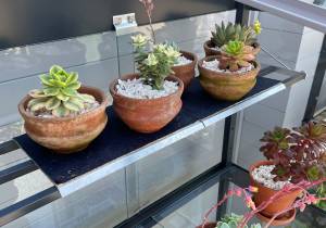 Two narrow shelf covers