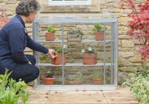 Half Height Westminster 3′ 4″ Small Greenhouse