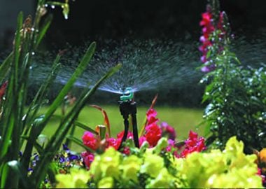 Garden Watering
