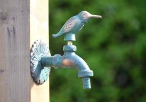 kingfisher tap green
