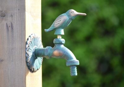 kingfisher tap green