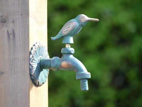 kingfisher tap green