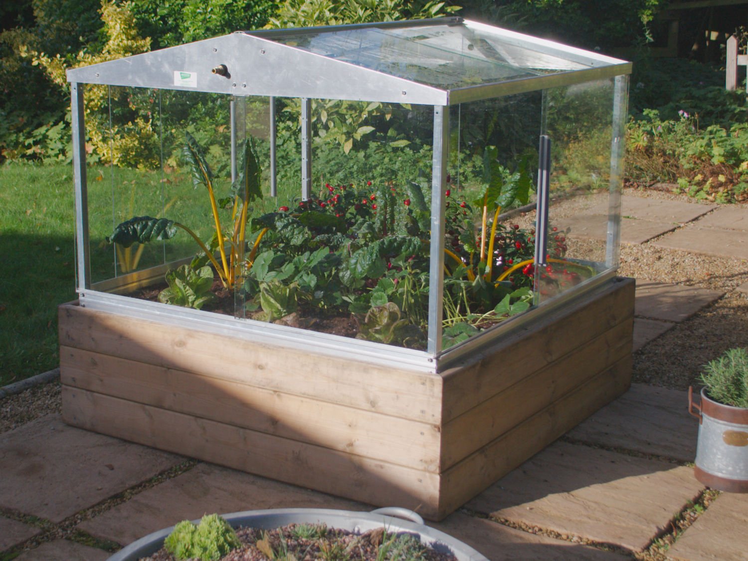 cold frame with timber base