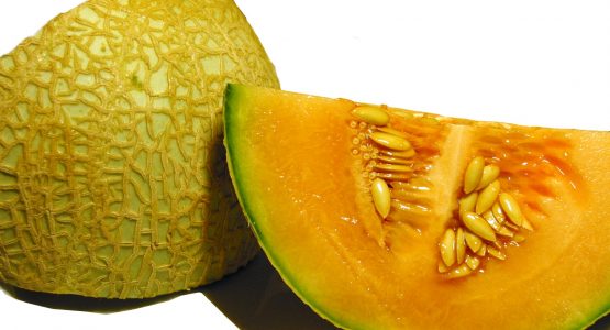 How To Grow Melon In A Greenhouse