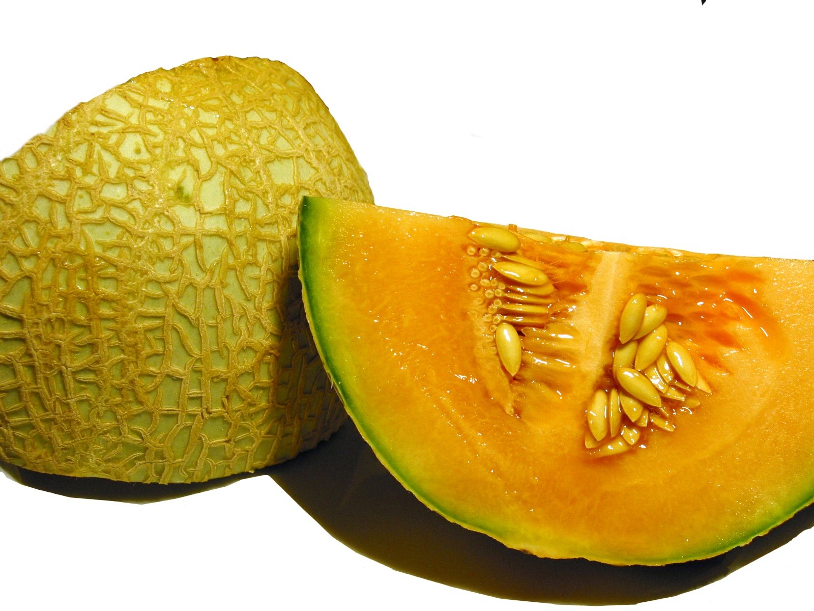 How To Grow Melon In A Greenhouse | Access Garden Products