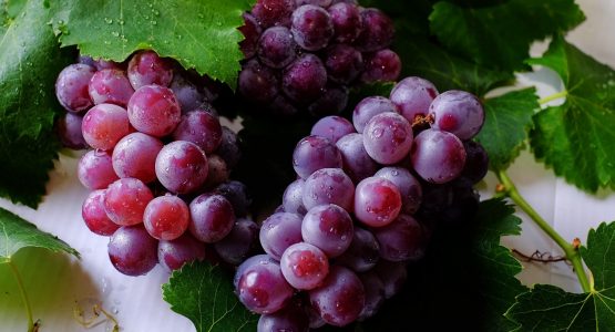 How To Grow Grapes In a Greenhouse