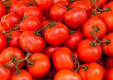 Plants to compliment tomatoes in a Mini greenhouse