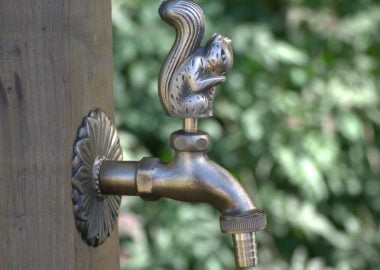 Squirrel ornamental garden tap brass colour