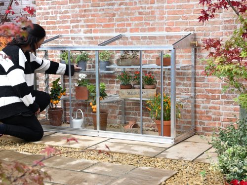 Harlow 5’ 0” lean to Mini greenhouse