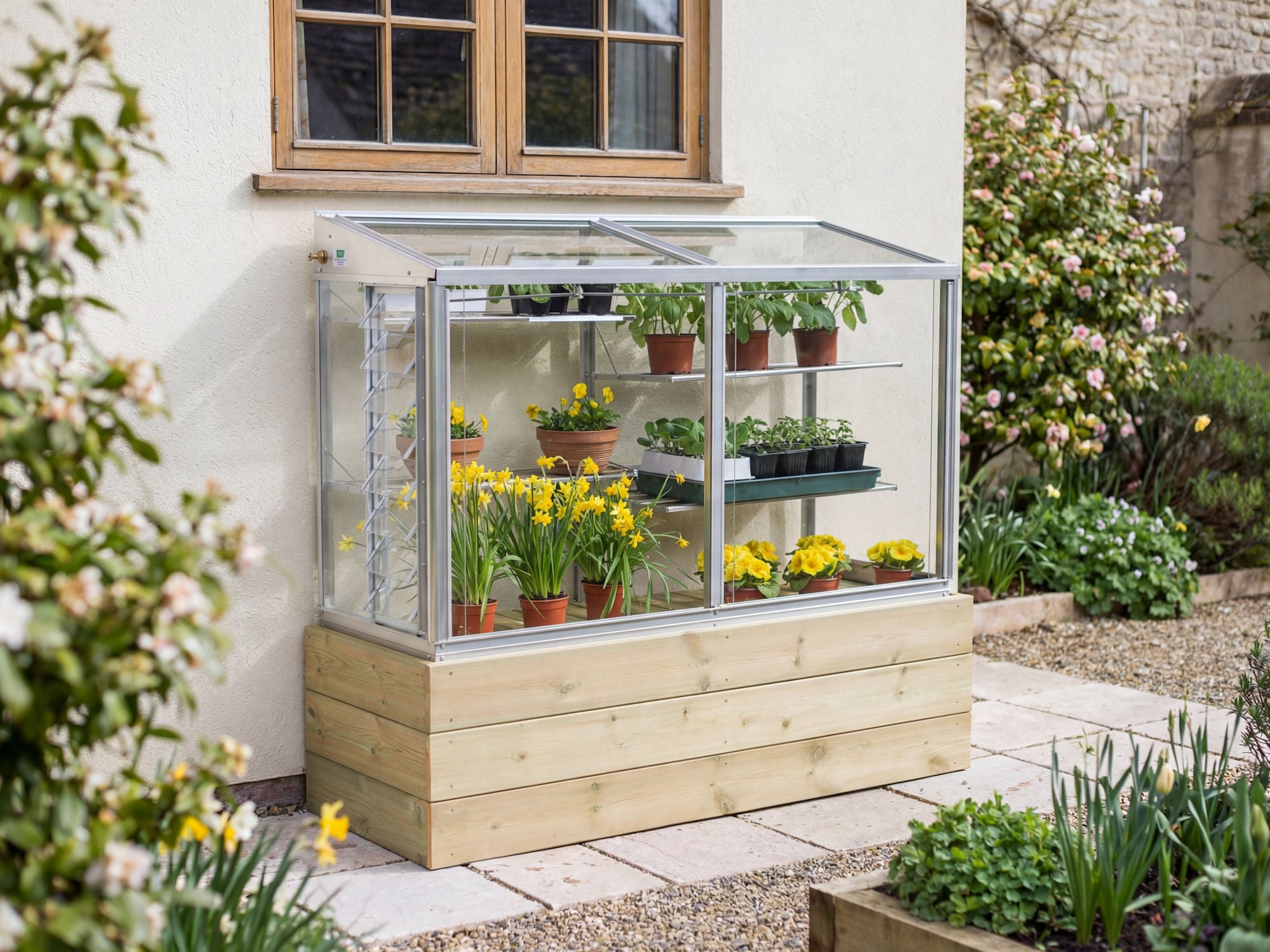 BL2 Harlow mini greenhouse on wooden base