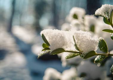 How To Keep A Greenhouse Warm In Winter