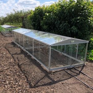 Cold Frames at Wisley