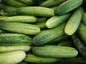 grow cucumber in greenhouse