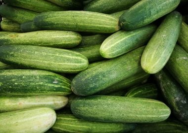 What to grow in a greenhouse in May.