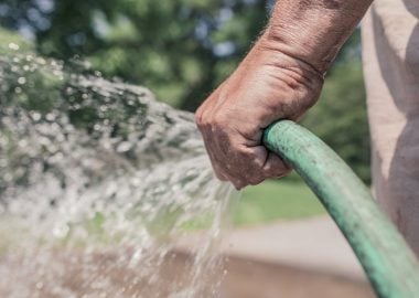Watering your garden: the complete guide