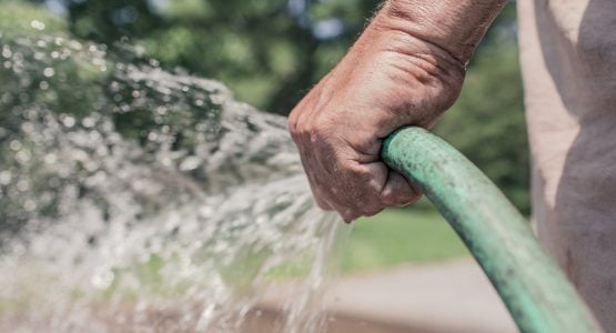 Watering your garden: the complete guide