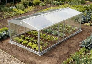 8ft x 4ft Cold frame