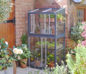 City Growhouse