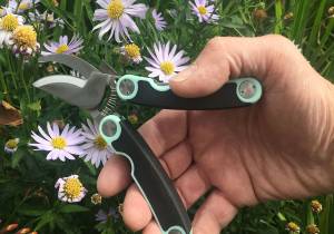 Folding Pocket Secateurs – in tin