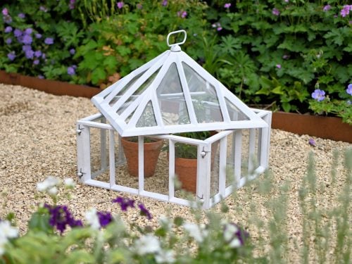 Victorian style cast iron cloche in garden