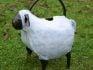 Metal sheep watering can