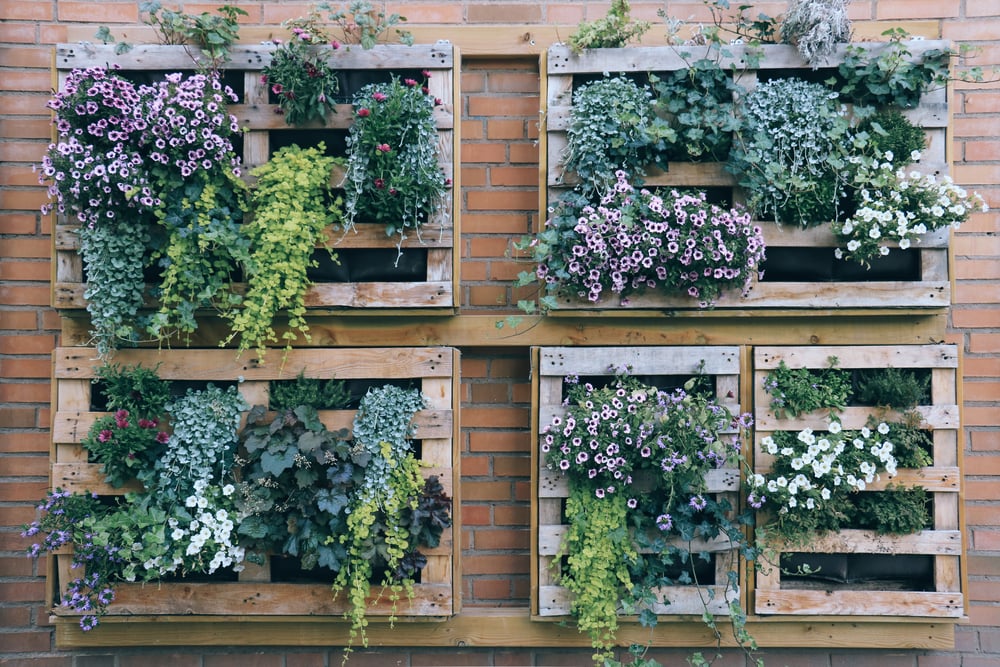 Vertical garden