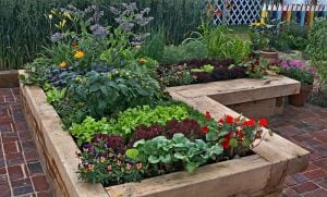raised bed structure with plants, vegetables and flowers