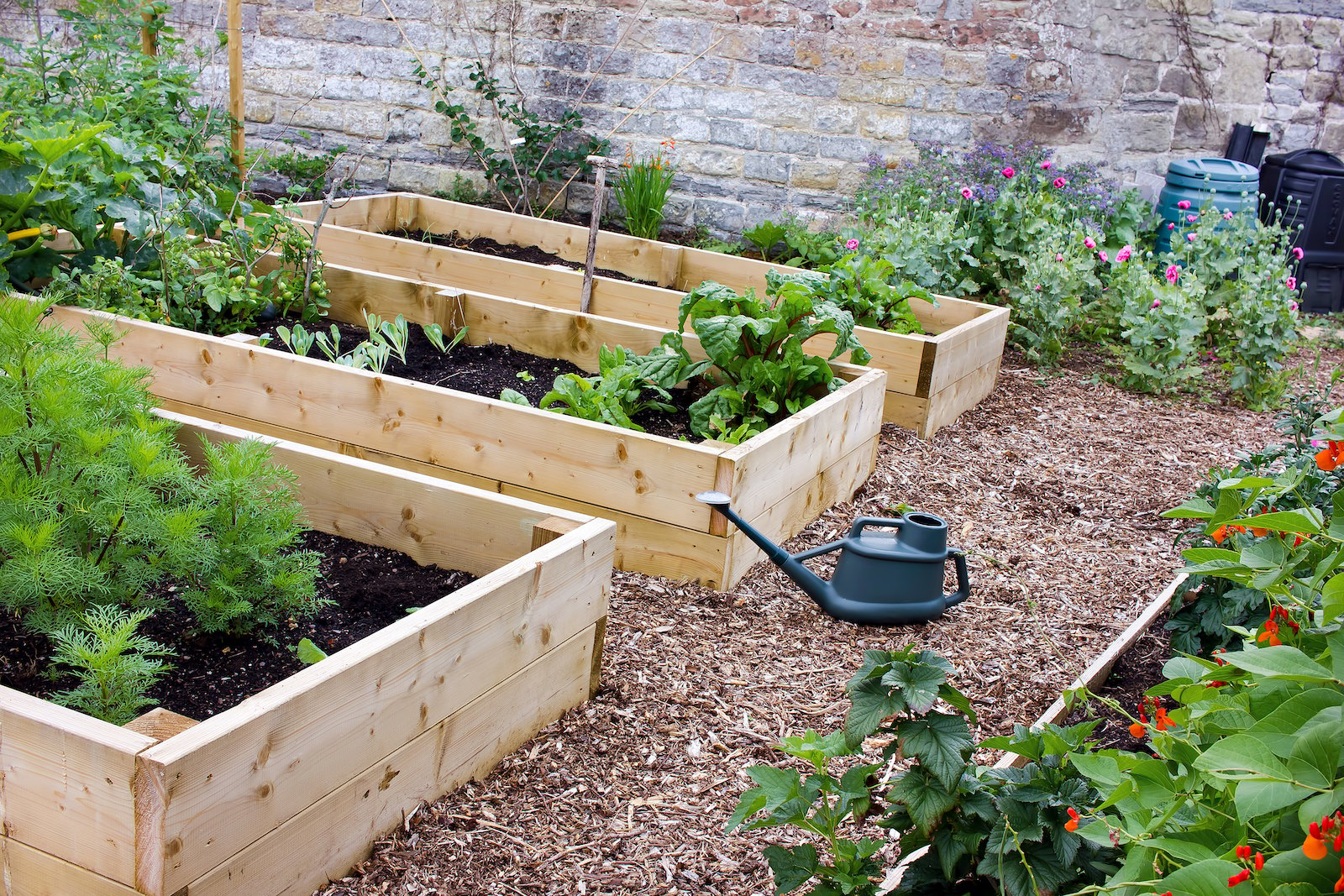 three raised beds full of plants and vegetables