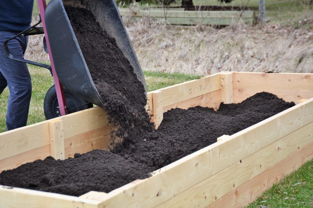 gardening tipping soil into a raised bed from a wheelbarrow