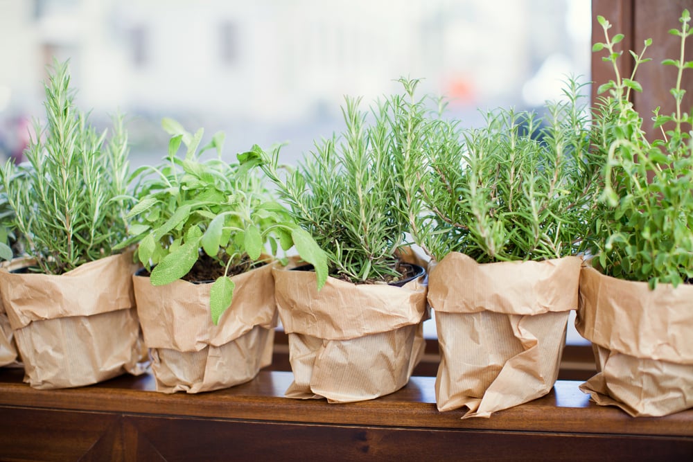 balcony herb garden