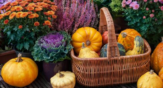 Greenhouse Growing Tips: October Edition
