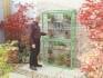 Westminster 3' 4" mini greenhouse Cotswold Green