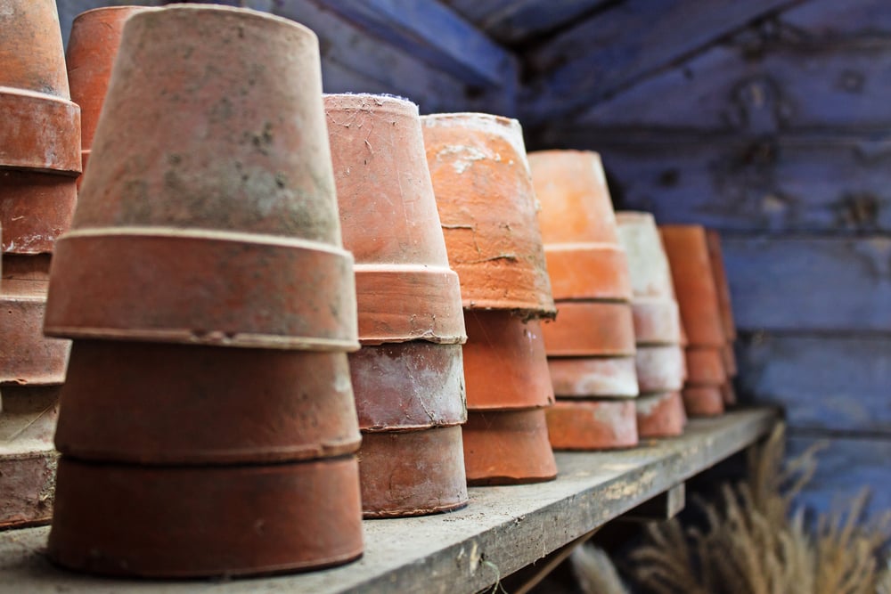 collection of terracotta pots