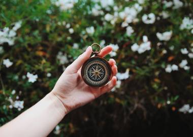 North, South, East Or West Facing Garden: A Complete Guide