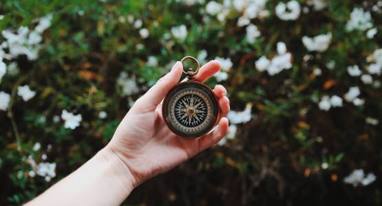 North, South, East Or West Facing Garden: A Complete Guide